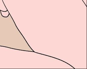 Amateur Homemade Sex-1